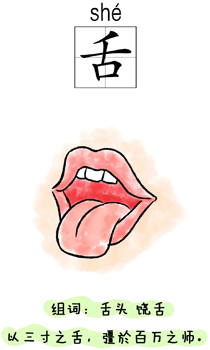 汉字学习:身体:舌