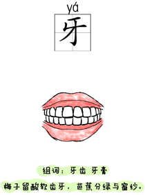 汉字学习:身体:牙