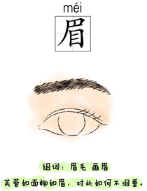 汉字学习:身体:眉