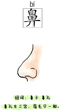 汉字学习:身体:鼻