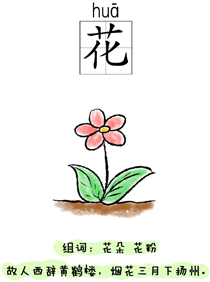 汉字学习:自然:花