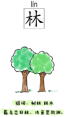 汉字学习:自然:林