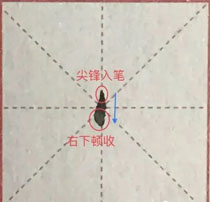 笔画认知:左点