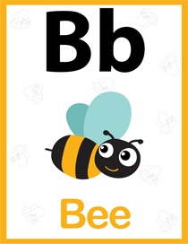 认识字母:B