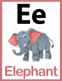 认识字母:E