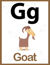 认识字母:G