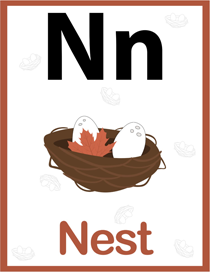 认识字母:N
