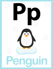 认识字母:P