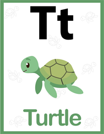 认识字母:T