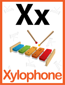 认识字母:X