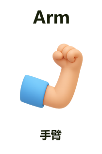 Arm