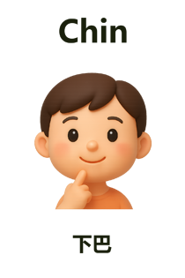 Chin