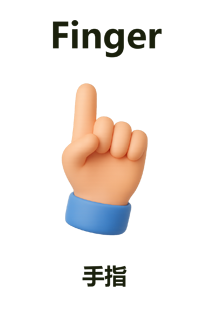 Finger
