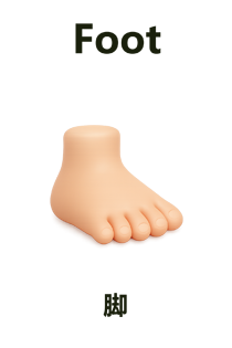 Foot