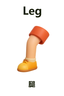 Leg