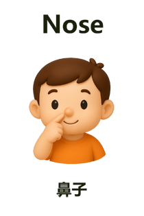 Nose