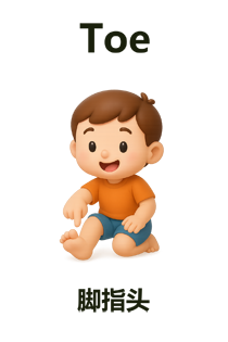 Toe