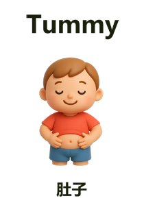 Tummy