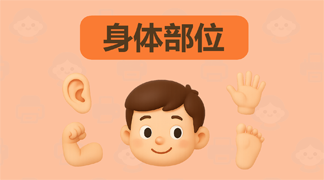 身体部位英语词汇 - 人体各部位英文名称学习，含标注练习和连线游戏
