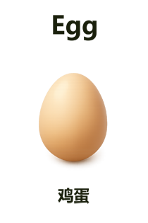Egg