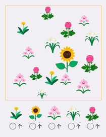花朵计数:1-5